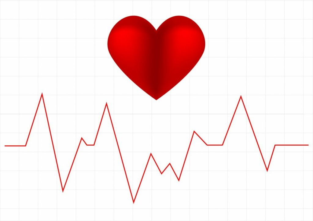 Un corazón rojo sobre un gráfico de líneas rojas, que recuerda a un latido del corazón o a un trazado de ECG, simboliza Servicios Médicos sobre un fondo blanco prístino.