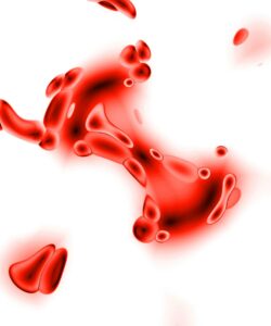 Imagen abstracta de formas brillantes y rojas similares a fluidos sobre un fondo blanco, que se asemejan a una formación orgánica o gotas de líquido, y que recuerdan a intrincadas ilustraciones de cardiología.