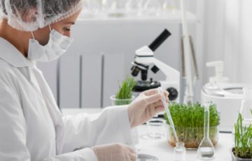 Un técnico de laboratorio con equipo de protección lleva a cabo investigaciones sobre muestras de plantas para EuroEspes Health. Utiliza una pipeta para manipular el líquido en un laboratorio equipado con un microscopio y bandejas con plantas similares a las gramíneas, lo que garantiza un análisis preciso para el Boletín Médico.